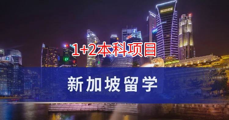 高中生必看！新加坡预科留学全攻略：从申请到名校的黄金路径